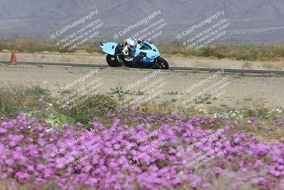 media/Feb-04-2023-SoCal Trackdays (Sat) [[8a776bf2c3]]/Turn 15 Inside Blooming (1050am)/